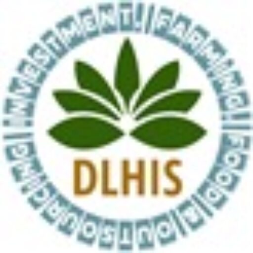 DLHIS Groups